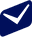 input-icon